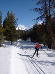 laurie xc ski